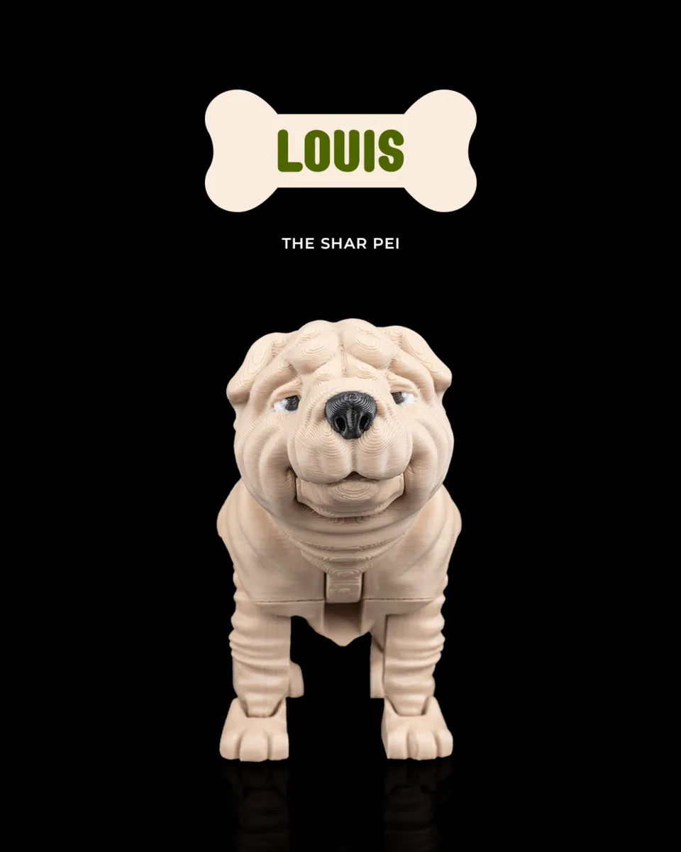 Louis, the Shar Pei
