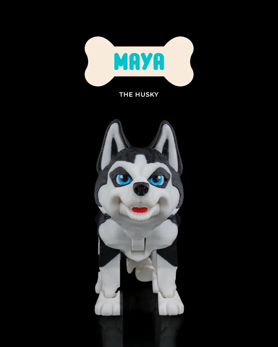 Maya, the Husky