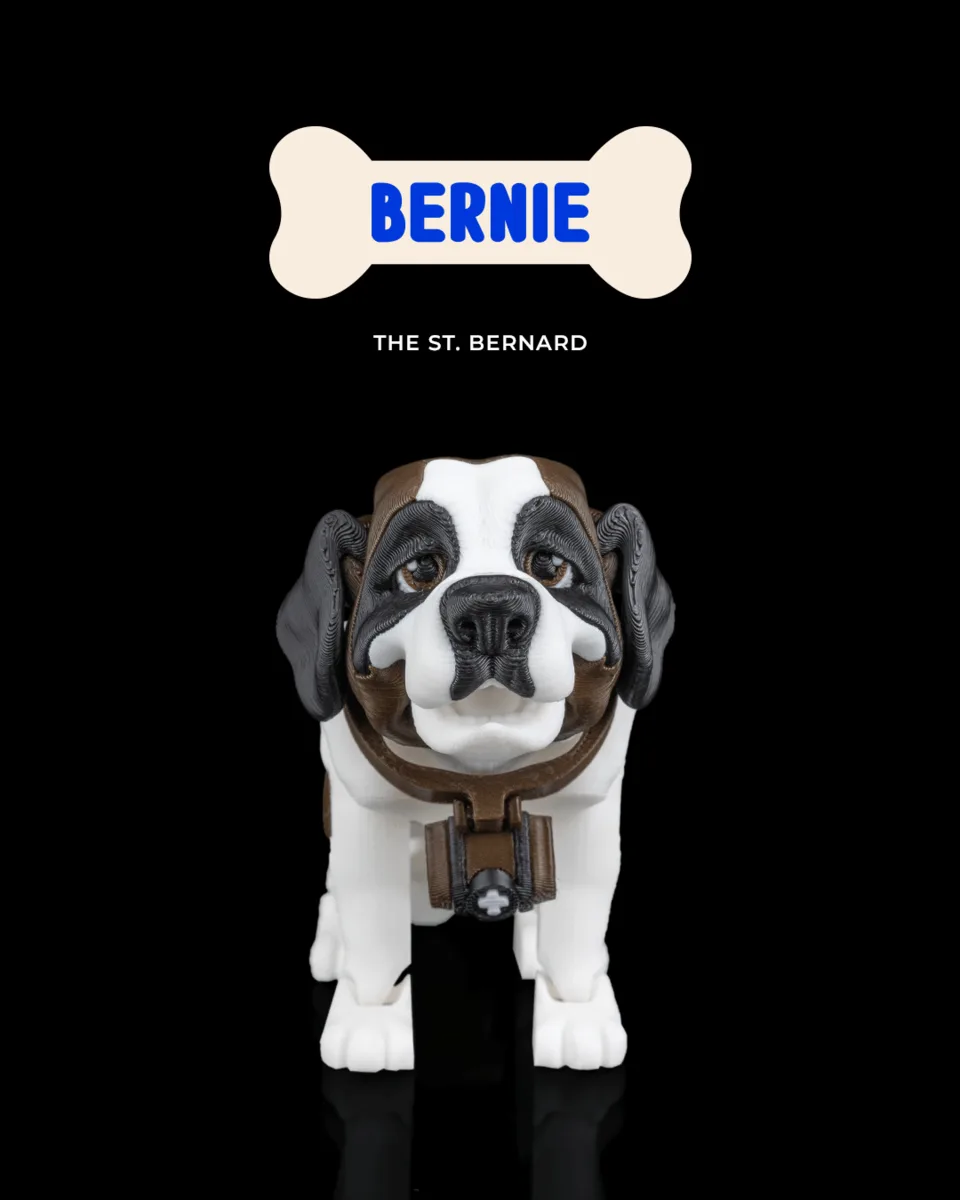 Bernie, the St. Bernard