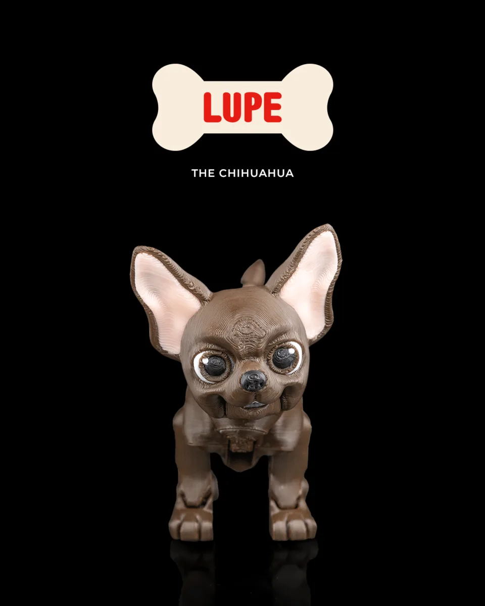 Lupe, the Chihuahua